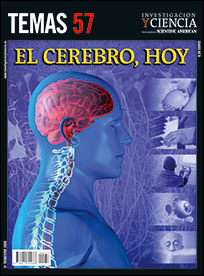 2009 El Cerebro Hoy